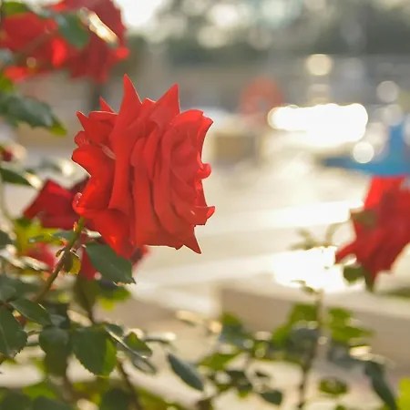 Hotel Sunset Paradise