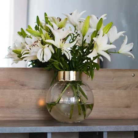 Sunset Paradise Hotel